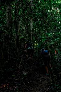 BIB: 
                            <button type="button" onclick="openModal(24766448)" class="btn btn-primary btn-sm float-right btn-popup" data-toggle="modal" data-target=".modal-high-quality">
                        <i class="fas fa-shopping-cart"></i> Add to Cart
                    </button>
                                            <button type="button" onclick="isThisMe(24766448, true)" class="btn btn-success btn-sm float-right btn-popup btn-isme hidden" data-toggle="tooltip" data-placement="bottom" title="นี่คือรูปของคุณใช่ไหม คลิกที่นี่เพื่อเอาเข้าอัลบั้ม">
                        <i class="fas fa-plus"></i> Add to album
                    </button>
                    <button type="button" onclick="isThisMe(24766448, false)" class="btn btn-warning btn-sm float-right btn-popup btn-isnotme hidden">
                        <i class="fas fa-ban"></i> Remove from album
                    </button>