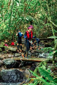 BIB: 
                            <button type="button" onclick="openModal(24775071)" class="btn btn-primary btn-sm float-right btn-popup" data-toggle="modal" data-target=".modal-high-quality">
                        <i class="fas fa-shopping-cart"></i> Add to Cart
                    </button>
                                            <button type="button" onclick="isThisMe(24775071, true)" class="btn btn-success btn-sm float-right btn-popup btn-isme hidden" data-toggle="tooltip" data-placement="bottom" title="นี่คือรูปของคุณใช่ไหม คลิกที่นี่เพื่อเอาเข้าอัลบั้ม">
                        <i class="fas fa-plus"></i> Add to album
                    </button>
                    <button type="button" onclick="isThisMe(24775071, false)" class="btn btn-warning btn-sm float-right btn-popup btn-isnotme hidden">
                        <i class="fas fa-ban"></i> Remove from album
                    </button>