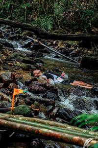 BIB: 
                            <button type="button" onclick="openModal(24773879)" class="btn btn-primary btn-sm float-right btn-popup" data-toggle="modal" data-target=".modal-high-quality">
                        <i class="fas fa-shopping-cart"></i> Add to Cart
                    </button>
                                            <button type="button" onclick="isThisMe(24773879, true)" class="btn btn-success btn-sm float-right btn-popup btn-isme hidden" data-toggle="tooltip" data-placement="bottom" title="นี่คือรูปของคุณใช่ไหม คลิกที่นี่เพื่อเอาเข้าอัลบั้ม">
                        <i class="fas fa-plus"></i> Add to album
                    </button>
                    <button type="button" onclick="isThisMe(24773879, false)" class="btn btn-warning btn-sm float-right btn-popup btn-isnotme hidden">
                        <i class="fas fa-ban"></i> Remove from album
                    </button>