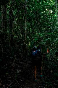 BIB: 
                            <button type="button" onclick="openModal(24766378)" class="btn btn-primary btn-sm float-right btn-popup" data-toggle="modal" data-target=".modal-high-quality">
                        <i class="fas fa-shopping-cart"></i> Add to Cart
                    </button>
                                            <button type="button" onclick="isThisMe(24766378, true)" class="btn btn-success btn-sm float-right btn-popup btn-isme hidden" data-toggle="tooltip" data-placement="bottom" title="นี่คือรูปของคุณใช่ไหม คลิกที่นี่เพื่อเอาเข้าอัลบั้ม">
                        <i class="fas fa-plus"></i> Add to album
                    </button>
                    <button type="button" onclick="isThisMe(24766378, false)" class="btn btn-warning btn-sm float-right btn-popup btn-isnotme hidden">
                        <i class="fas fa-ban"></i> Remove from album
                    </button>