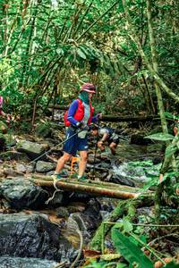 BIB: 
                            <button type="button" onclick="openModal(24775331)" class="btn btn-primary btn-sm float-right btn-popup" data-toggle="modal" data-target=".modal-high-quality">
                        <i class="fas fa-shopping-cart"></i> Add to Cart
                    </button>
                                            <button type="button" onclick="isThisMe(24775331, true)" class="btn btn-success btn-sm float-right btn-popup btn-isme hidden" data-toggle="tooltip" data-placement="bottom" title="นี่คือรูปของคุณใช่ไหม คลิกที่นี่เพื่อเอาเข้าอัลบั้ม">
                        <i class="fas fa-plus"></i> Add to album
                    </button>
                    <button type="button" onclick="isThisMe(24775331, false)" class="btn btn-warning btn-sm float-right btn-popup btn-isnotme hidden">
                        <i class="fas fa-ban"></i> Remove from album
                    </button>