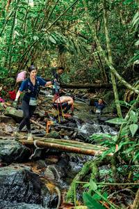 BIB: 
                            <button type="button" onclick="openModal(24774328)" class="btn btn-primary btn-sm float-right btn-popup" data-toggle="modal" data-target=".modal-high-quality">
                        <i class="fas fa-shopping-cart"></i> Add to Cart
                    </button>
                                            <button type="button" onclick="isThisMe(24774328, true)" class="btn btn-success btn-sm float-right btn-popup btn-isme hidden" data-toggle="tooltip" data-placement="bottom" title="นี่คือรูปของคุณใช่ไหม คลิกที่นี่เพื่อเอาเข้าอัลบั้ม">
                        <i class="fas fa-plus"></i> Add to album
                    </button>
                    <button type="button" onclick="isThisMe(24774328, false)" class="btn btn-warning btn-sm float-right btn-popup btn-isnotme hidden">
                        <i class="fas fa-ban"></i> Remove from album
                    </button>