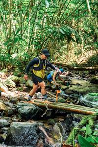 BIB: 
                            <button type="button" onclick="openModal(24772380)" class="btn btn-primary btn-sm float-right btn-popup" data-toggle="modal" data-target=".modal-high-quality">
                        <i class="fas fa-shopping-cart"></i> Add to Cart
                    </button>
                                            <button type="button" onclick="isThisMe(24772380, true)" class="btn btn-success btn-sm float-right btn-popup btn-isme hidden" data-toggle="tooltip" data-placement="bottom" title="นี่คือรูปของคุณใช่ไหม คลิกที่นี่เพื่อเอาเข้าอัลบั้ม">
                        <i class="fas fa-plus"></i> Add to album
                    </button>
                    <button type="button" onclick="isThisMe(24772380, false)" class="btn btn-warning btn-sm float-right btn-popup btn-isnotme hidden">
                        <i class="fas fa-ban"></i> Remove from album
                    </button>