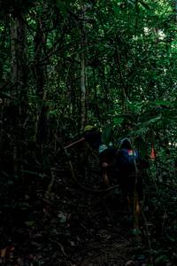 BIB: 
                            <button type="button" onclick="openModal(24766387)" class="btn btn-primary btn-sm float-right btn-popup" data-toggle="modal" data-target=".modal-high-quality">
                        <i class="fas fa-shopping-cart"></i> Add to Cart
                    </button>
                                            <button type="button" onclick="isThisMe(24766387, true)" class="btn btn-success btn-sm float-right btn-popup btn-isme hidden" data-toggle="tooltip" data-placement="bottom" title="นี่คือรูปของคุณใช่ไหม คลิกที่นี่เพื่อเอาเข้าอัลบั้ม">
                        <i class="fas fa-plus"></i> Add to album
                    </button>
                    <button type="button" onclick="isThisMe(24766387, false)" class="btn btn-warning btn-sm float-right btn-popup btn-isnotme hidden">
                        <i class="fas fa-ban"></i> Remove from album
                    </button>