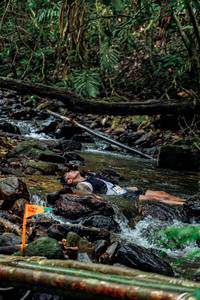 BIB: 
                            <button type="button" onclick="openModal(24773826)" class="btn btn-primary btn-sm float-right btn-popup" data-toggle="modal" data-target=".modal-high-quality">
                        <i class="fas fa-shopping-cart"></i> Add to Cart
                    </button>
                                            <button type="button" onclick="isThisMe(24773826, true)" class="btn btn-success btn-sm float-right btn-popup btn-isme hidden" data-toggle="tooltip" data-placement="bottom" title="นี่คือรูปของคุณใช่ไหม คลิกที่นี่เพื่อเอาเข้าอัลบั้ม">
                        <i class="fas fa-plus"></i> Add to album
                    </button>
                    <button type="button" onclick="isThisMe(24773826, false)" class="btn btn-warning btn-sm float-right btn-popup btn-isnotme hidden">
                        <i class="fas fa-ban"></i> Remove from album
                    </button>