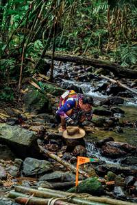 BIB: 
                            <button type="button" onclick="openModal(24776288)" class="btn btn-primary btn-sm float-right btn-popup" data-toggle="modal" data-target=".modal-high-quality">
                        <i class="fas fa-shopping-cart"></i> Add to Cart
                    </button>
                                            <button type="button" onclick="isThisMe(24776288, true)" class="btn btn-success btn-sm float-right btn-popup btn-isme hidden" data-toggle="tooltip" data-placement="bottom" title="นี่คือรูปของคุณใช่ไหม คลิกที่นี่เพื่อเอาเข้าอัลบั้ม">
                        <i class="fas fa-plus"></i> Add to album
                    </button>
                    <button type="button" onclick="isThisMe(24776288, false)" class="btn btn-warning btn-sm float-right btn-popup btn-isnotme hidden">
                        <i class="fas fa-ban"></i> Remove from album
                    </button>