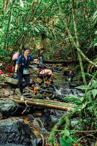 BIB: 
                            <button type="button" onclick="openModal(24774320)" class="btn btn-primary btn-sm float-right btn-popup" data-toggle="modal" data-target=".modal-high-quality">
                        <i class="fas fa-shopping-cart"></i> Add to Cart
                    </button>
                                            <button type="button" onclick="isThisMe(24774320, true)" class="btn btn-success btn-sm float-right btn-popup btn-isme hidden" data-toggle="tooltip" data-placement="bottom" title="นี่คือรูปของคุณใช่ไหม คลิกที่นี่เพื่อเอาเข้าอัลบั้ม">
                        <i class="fas fa-plus"></i> Add to album
                    </button>
                    <button type="button" onclick="isThisMe(24774320, false)" class="btn btn-warning btn-sm float-right btn-popup btn-isnotme hidden">
                        <i class="fas fa-ban"></i> Remove from album
                    </button>