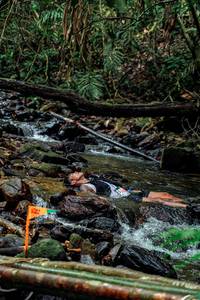 BIB: 
                            <button type="button" onclick="openModal(24773822)" class="btn btn-primary btn-sm float-right btn-popup" data-toggle="modal" data-target=".modal-high-quality">
                        <i class="fas fa-shopping-cart"></i> Add to Cart
                    </button>
                                            <button type="button" onclick="isThisMe(24773822, true)" class="btn btn-success btn-sm float-right btn-popup btn-isme hidden" data-toggle="tooltip" data-placement="bottom" title="นี่คือรูปของคุณใช่ไหม คลิกที่นี่เพื่อเอาเข้าอัลบั้ม">
                        <i class="fas fa-plus"></i> Add to album
                    </button>
                    <button type="button" onclick="isThisMe(24773822, false)" class="btn btn-warning btn-sm float-right btn-popup btn-isnotme hidden">
                        <i class="fas fa-ban"></i> Remove from album
                    </button>