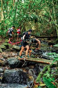 BIB: 
                            <button type="button" onclick="openModal(24774229)" class="btn btn-primary btn-sm float-right btn-popup" data-toggle="modal" data-target=".modal-high-quality">
                        <i class="fas fa-shopping-cart"></i> Add to Cart
                    </button>
                                            <button type="button" onclick="isThisMe(24774229, true)" class="btn btn-success btn-sm float-right btn-popup btn-isme hidden" data-toggle="tooltip" data-placement="bottom" title="นี่คือรูปของคุณใช่ไหม คลิกที่นี่เพื่อเอาเข้าอัลบั้ม">
                        <i class="fas fa-plus"></i> Add to album
                    </button>
                    <button type="button" onclick="isThisMe(24774229, false)" class="btn btn-warning btn-sm float-right btn-popup btn-isnotme hidden">
                        <i class="fas fa-ban"></i> Remove from album
                    </button>