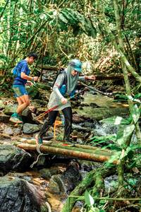 BIB: 
                            <button type="button" onclick="openModal(24773445)" class="btn btn-primary btn-sm float-right btn-popup" data-toggle="modal" data-target=".modal-high-quality">
                        <i class="fas fa-shopping-cart"></i> Add to Cart
                    </button>
                                            <button type="button" onclick="isThisMe(24773445, true)" class="btn btn-success btn-sm float-right btn-popup btn-isme hidden" data-toggle="tooltip" data-placement="bottom" title="นี่คือรูปของคุณใช่ไหม คลิกที่นี่เพื่อเอาเข้าอัลบั้ม">
                        <i class="fas fa-plus"></i> Add to album
                    </button>
                    <button type="button" onclick="isThisMe(24773445, false)" class="btn btn-warning btn-sm float-right btn-popup btn-isnotme hidden">
                        <i class="fas fa-ban"></i> Remove from album
                    </button>