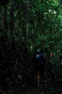 BIB: 
                            <button type="button" onclick="openModal(24766381)" class="btn btn-primary btn-sm float-right btn-popup" data-toggle="modal" data-target=".modal-high-quality">
                        <i class="fas fa-shopping-cart"></i> Add to Cart
                    </button>
                                            <button type="button" onclick="isThisMe(24766381, true)" class="btn btn-success btn-sm float-right btn-popup btn-isme hidden" data-toggle="tooltip" data-placement="bottom" title="นี่คือรูปของคุณใช่ไหม คลิกที่นี่เพื่อเอาเข้าอัลบั้ม">
                        <i class="fas fa-plus"></i> Add to album
                    </button>
                    <button type="button" onclick="isThisMe(24766381, false)" class="btn btn-warning btn-sm float-right btn-popup btn-isnotme hidden">
                        <i class="fas fa-ban"></i> Remove from album
                    </button>