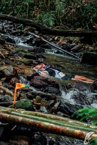 BIB: 
                            <button type="button" onclick="openModal(24773881)" class="btn btn-primary btn-sm float-right btn-popup" data-toggle="modal" data-target=".modal-high-quality">
                        <i class="fas fa-shopping-cart"></i> Add to Cart
                    </button>
                                            <button type="button" onclick="isThisMe(24773881, true)" class="btn btn-success btn-sm float-right btn-popup btn-isme hidden" data-toggle="tooltip" data-placement="bottom" title="นี่คือรูปของคุณใช่ไหม คลิกที่นี่เพื่อเอาเข้าอัลบั้ม">
                        <i class="fas fa-plus"></i> Add to album
                    </button>
                    <button type="button" onclick="isThisMe(24773881, false)" class="btn btn-warning btn-sm float-right btn-popup btn-isnotme hidden">
                        <i class="fas fa-ban"></i> Remove from album
                    </button>