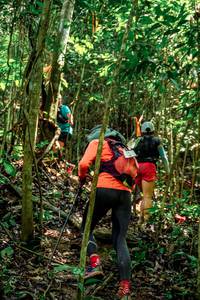 BIB: 
                            <button type="button" onclick="openModal(24778508)" class="btn btn-primary btn-sm float-right btn-popup" data-toggle="modal" data-target=".modal-high-quality">
                        <i class="fas fa-shopping-cart"></i> Add to Cart
                    </button>
                                            <button type="button" onclick="isThisMe(24778508, true)" class="btn btn-success btn-sm float-right btn-popup btn-isme hidden" data-toggle="tooltip" data-placement="bottom" title="นี่คือรูปของคุณใช่ไหม คลิกที่นี่เพื่อเอาเข้าอัลบั้ม">
                        <i class="fas fa-plus"></i> Add to album
                    </button>
                    <button type="button" onclick="isThisMe(24778508, false)" class="btn btn-warning btn-sm float-right btn-popup btn-isnotme hidden">
                        <i class="fas fa-ban"></i> Remove from album
                    </button>