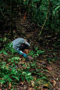 BIB: 
                            <button type="button" onclick="openModal(24772657)" class="btn btn-primary btn-sm float-right btn-popup" data-toggle="modal" data-target=".modal-high-quality">
                        <i class="fas fa-shopping-cart"></i> Add to Cart
                    </button>
                                            <button type="button" onclick="isThisMe(24772657, true)" class="btn btn-success btn-sm float-right btn-popup btn-isme hidden" data-toggle="tooltip" data-placement="bottom" title="นี่คือรูปของคุณใช่ไหม คลิกที่นี่เพื่อเอาเข้าอัลบั้ม">
                        <i class="fas fa-plus"></i> Add to album
                    </button>
                    <button type="button" onclick="isThisMe(24772657, false)" class="btn btn-warning btn-sm float-right btn-popup btn-isnotme hidden">
                        <i class="fas fa-ban"></i> Remove from album
                    </button>