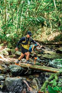 BIB: 
                            <button type="button" onclick="openModal(24772490)" class="btn btn-primary btn-sm float-right btn-popup" data-toggle="modal" data-target=".modal-high-quality">
                        <i class="fas fa-shopping-cart"></i> Add to Cart
                    </button>
                                            <button type="button" onclick="isThisMe(24772490, true)" class="btn btn-success btn-sm float-right btn-popup btn-isme hidden" data-toggle="tooltip" data-placement="bottom" title="นี่คือรูปของคุณใช่ไหม คลิกที่นี่เพื่อเอาเข้าอัลบั้ม">
                        <i class="fas fa-plus"></i> Add to album
                    </button>
                    <button type="button" onclick="isThisMe(24772490, false)" class="btn btn-warning btn-sm float-right btn-popup btn-isnotme hidden">
                        <i class="fas fa-ban"></i> Remove from album
                    </button>