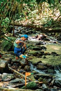 BIB: 
                            <button type="button" onclick="openModal(24772540)" class="btn btn-primary btn-sm float-right btn-popup" data-toggle="modal" data-target=".modal-high-quality">
                        <i class="fas fa-shopping-cart"></i> Add to Cart
                    </button>
                                            <button type="button" onclick="isThisMe(24772540, true)" class="btn btn-success btn-sm float-right btn-popup btn-isme hidden" data-toggle="tooltip" data-placement="bottom" title="นี่คือรูปของคุณใช่ไหม คลิกที่นี่เพื่อเอาเข้าอัลบั้ม">
                        <i class="fas fa-plus"></i> Add to album
                    </button>
                    <button type="button" onclick="isThisMe(24772540, false)" class="btn btn-warning btn-sm float-right btn-popup btn-isnotme hidden">
                        <i class="fas fa-ban"></i> Remove from album
                    </button>