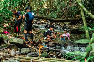 BIB: 
                            <button type="button" onclick="openModal(24775114)" class="btn btn-primary btn-sm float-right btn-popup" data-toggle="modal" data-target=".modal-high-quality">
                        <i class="fas fa-shopping-cart"></i> Add to Cart
                    </button>
                                            <button type="button" onclick="isThisMe(24775114, true)" class="btn btn-success btn-sm float-right btn-popup btn-isme hidden" data-toggle="tooltip" data-placement="bottom" title="นี่คือรูปของคุณใช่ไหม คลิกที่นี่เพื่อเอาเข้าอัลบั้ม">
                        <i class="fas fa-plus"></i> Add to album
                    </button>
                    <button type="button" onclick="isThisMe(24775114, false)" class="btn btn-warning btn-sm float-right btn-popup btn-isnotme hidden">
                        <i class="fas fa-ban"></i> Remove from album
                    </button>