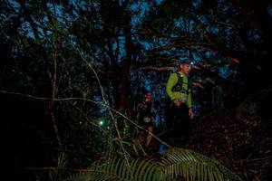 BIB: 
                            <button type="button" onclick="openModal(24782454)" class="btn btn-primary btn-sm float-right btn-popup" data-toggle="modal" data-target=".modal-high-quality">
                        <i class="fas fa-shopping-cart"></i> Add to Cart
                    </button>
                                            <button type="button" onclick="isThisMe(24782454, true)" class="btn btn-success btn-sm float-right btn-popup btn-isme hidden" data-toggle="tooltip" data-placement="bottom" title="นี่คือรูปของคุณใช่ไหม คลิกที่นี่เพื่อเอาเข้าอัลบั้ม">
                        <i class="fas fa-plus"></i> Add to album
                    </button>
                    <button type="button" onclick="isThisMe(24782454, false)" class="btn btn-warning btn-sm float-right btn-popup btn-isnotme hidden">
                        <i class="fas fa-ban"></i> Remove from album
                    </button>