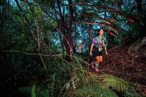 BIB: 
                            <button type="button" onclick="openModal(24787140)" class="btn btn-primary btn-sm float-right btn-popup" data-toggle="modal" data-target=".modal-high-quality">
                        <i class="fas fa-shopping-cart"></i> Add to Cart
                    </button>
                                            <button type="button" onclick="isThisMe(24787140, true)" class="btn btn-success btn-sm float-right btn-popup btn-isme hidden" data-toggle="tooltip" data-placement="bottom" title="นี่คือรูปของคุณใช่ไหม คลิกที่นี่เพื่อเอาเข้าอัลบั้ม">
                        <i class="fas fa-plus"></i> Add to album
                    </button>
                    <button type="button" onclick="isThisMe(24787140, false)" class="btn btn-warning btn-sm float-right btn-popup btn-isnotme hidden">
                        <i class="fas fa-ban"></i> Remove from album
                    </button>