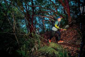 BIB: 
                            <button type="button" onclick="openModal(24786434)" class="btn btn-primary btn-sm float-right btn-popup" data-toggle="modal" data-target=".modal-high-quality">
                        <i class="fas fa-shopping-cart"></i> Add to Cart
                    </button>
                                            <button type="button" onclick="isThisMe(24786434, true)" class="btn btn-success btn-sm float-right btn-popup btn-isme hidden" data-toggle="tooltip" data-placement="bottom" title="นี่คือรูปของคุณใช่ไหม คลิกที่นี่เพื่อเอาเข้าอัลบั้ม">
                        <i class="fas fa-plus"></i> Add to album
                    </button>
                    <button type="button" onclick="isThisMe(24786434, false)" class="btn btn-warning btn-sm float-right btn-popup btn-isnotme hidden">
                        <i class="fas fa-ban"></i> Remove from album
                    </button>