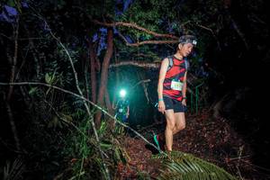 BIB: 242
                            <button type="button" onclick="openModal(24785539)" class="btn btn-primary btn-sm float-right btn-popup" data-toggle="modal" data-target=".modal-high-quality">
                        <i class="fas fa-shopping-cart"></i> Add to Cart
                    </button>
                                            <button type="button" onclick="isThisMe(24785539, true)" class="btn btn-success btn-sm float-right btn-popup btn-isme hidden" data-toggle="tooltip" data-placement="bottom" title="นี่คือรูปของคุณใช่ไหม คลิกที่นี่เพื่อเอาเข้าอัลบั้ม">
                        <i class="fas fa-plus"></i> Add to album
                    </button>
                    <button type="button" onclick="isThisMe(24785539, false)" class="btn btn-warning btn-sm float-right btn-popup btn-isnotme hidden">
                        <i class="fas fa-ban"></i> Remove from album
                    </button>