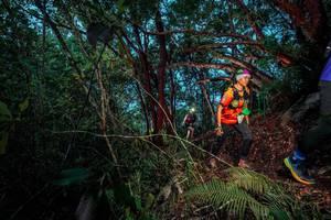 BIB: 
                            <button type="button" onclick="openModal(24786165)" class="btn btn-primary btn-sm float-right btn-popup" data-toggle="modal" data-target=".modal-high-quality">
                        <i class="fas fa-shopping-cart"></i> Add to Cart
                    </button>
                                            <button type="button" onclick="isThisMe(24786165, true)" class="btn btn-success btn-sm float-right btn-popup btn-isme hidden" data-toggle="tooltip" data-placement="bottom" title="นี่คือรูปของคุณใช่ไหม คลิกที่นี่เพื่อเอาเข้าอัลบั้ม">
                        <i class="fas fa-plus"></i> Add to album
                    </button>
                    <button type="button" onclick="isThisMe(24786165, false)" class="btn btn-warning btn-sm float-right btn-popup btn-isnotme hidden">
                        <i class="fas fa-ban"></i> Remove from album
                    </button>