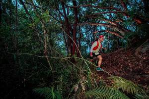 BIB: 
                            <button type="button" onclick="openModal(24786935)" class="btn btn-primary btn-sm float-right btn-popup" data-toggle="modal" data-target=".modal-high-quality">
                        <i class="fas fa-shopping-cart"></i> Add to Cart
                    </button>
                                            <button type="button" onclick="isThisMe(24786935, true)" class="btn btn-success btn-sm float-right btn-popup btn-isme hidden" data-toggle="tooltip" data-placement="bottom" title="นี่คือรูปของคุณใช่ไหม คลิกที่นี่เพื่อเอาเข้าอัลบั้ม">
                        <i class="fas fa-plus"></i> Add to album
                    </button>
                    <button type="button" onclick="isThisMe(24786935, false)" class="btn btn-warning btn-sm float-right btn-popup btn-isnotme hidden">
                        <i class="fas fa-ban"></i> Remove from album
                    </button>