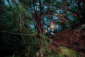 BIB: 
                            <button type="button" onclick="openModal(24786709)" class="btn btn-primary btn-sm float-right btn-popup" data-toggle="modal" data-target=".modal-high-quality">
                        <i class="fas fa-shopping-cart"></i> Add to Cart
                    </button>
                                            <button type="button" onclick="isThisMe(24786709, true)" class="btn btn-success btn-sm float-right btn-popup btn-isme hidden" data-toggle="tooltip" data-placement="bottom" title="นี่คือรูปของคุณใช่ไหม คลิกที่นี่เพื่อเอาเข้าอัลบั้ม">
                        <i class="fas fa-plus"></i> Add to album
                    </button>
                    <button type="button" onclick="isThisMe(24786709, false)" class="btn btn-warning btn-sm float-right btn-popup btn-isnotme hidden">
                        <i class="fas fa-ban"></i> Remove from album
                    </button>