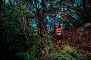 BIB: 
                            <button type="button" onclick="openModal(24786837)" class="btn btn-primary btn-sm float-right btn-popup" data-toggle="modal" data-target=".modal-high-quality">
                        <i class="fas fa-shopping-cart"></i> Add to Cart
                    </button>
                                            <button type="button" onclick="isThisMe(24786837, true)" class="btn btn-success btn-sm float-right btn-popup btn-isme hidden" data-toggle="tooltip" data-placement="bottom" title="นี่คือรูปของคุณใช่ไหม คลิกที่นี่เพื่อเอาเข้าอัลบั้ม">
                        <i class="fas fa-plus"></i> Add to album
                    </button>
                    <button type="button" onclick="isThisMe(24786837, false)" class="btn btn-warning btn-sm float-right btn-popup btn-isnotme hidden">
                        <i class="fas fa-ban"></i> Remove from album
                    </button>