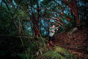 BIB: 
                            <button type="button" onclick="openModal(24786253)" class="btn btn-primary btn-sm float-right btn-popup" data-toggle="modal" data-target=".modal-high-quality">
                        <i class="fas fa-shopping-cart"></i> Add to Cart
                    </button>
                                            <button type="button" onclick="isThisMe(24786253, true)" class="btn btn-success btn-sm float-right btn-popup btn-isme hidden" data-toggle="tooltip" data-placement="bottom" title="นี่คือรูปของคุณใช่ไหม คลิกที่นี่เพื่อเอาเข้าอัลบั้ม">
                        <i class="fas fa-plus"></i> Add to album
                    </button>
                    <button type="button" onclick="isThisMe(24786253, false)" class="btn btn-warning btn-sm float-right btn-popup btn-isnotme hidden">
                        <i class="fas fa-ban"></i> Remove from album
                    </button>