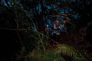 BIB: 
                            <button type="button" onclick="openModal(24782356)" class="btn btn-primary btn-sm float-right btn-popup" data-toggle="modal" data-target=".modal-high-quality">
                        <i class="fas fa-shopping-cart"></i> Add to Cart
                    </button>
                                            <button type="button" onclick="isThisMe(24782356, true)" class="btn btn-success btn-sm float-right btn-popup btn-isme hidden" data-toggle="tooltip" data-placement="bottom" title="นี่คือรูปของคุณใช่ไหม คลิกที่นี่เพื่อเอาเข้าอัลบั้ม">
                        <i class="fas fa-plus"></i> Add to album
                    </button>
                    <button type="button" onclick="isThisMe(24782356, false)" class="btn btn-warning btn-sm float-right btn-popup btn-isnotme hidden">
                        <i class="fas fa-ban"></i> Remove from album
                    </button>