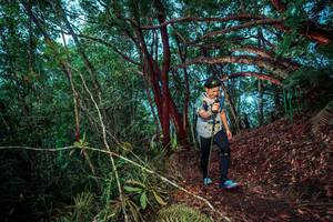 BIB: 
                            <button type="button" onclick="openModal(24780938)" class="btn btn-primary btn-sm float-right btn-popup" data-toggle="modal" data-target=".modal-high-quality">
                        <i class="fas fa-shopping-cart"></i> Add to Cart
                    </button>
                                            <button type="button" onclick="isThisMe(24780938, true)" class="btn btn-success btn-sm float-right btn-popup btn-isme hidden" data-toggle="tooltip" data-placement="bottom" title="นี่คือรูปของคุณใช่ไหม คลิกที่นี่เพื่อเอาเข้าอัลบั้ม">
                        <i class="fas fa-plus"></i> Add to album
                    </button>
                    <button type="button" onclick="isThisMe(24780938, false)" class="btn btn-warning btn-sm float-right btn-popup btn-isnotme hidden">
                        <i class="fas fa-ban"></i> Remove from album
                    </button>