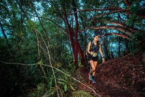 BIB: 
                            <button type="button" onclick="openModal(24789052)" class="btn btn-primary btn-sm float-right btn-popup" data-toggle="modal" data-target=".modal-high-quality">
                        <i class="fas fa-shopping-cart"></i> Add to Cart
                    </button>
                                            <button type="button" onclick="isThisMe(24789052, true)" class="btn btn-success btn-sm float-right btn-popup btn-isme hidden" data-toggle="tooltip" data-placement="bottom" title="นี่คือรูปของคุณใช่ไหม คลิกที่นี่เพื่อเอาเข้าอัลบั้ม">
                        <i class="fas fa-plus"></i> Add to album
                    </button>
                    <button type="button" onclick="isThisMe(24789052, false)" class="btn btn-warning btn-sm float-right btn-popup btn-isnotme hidden">
                        <i class="fas fa-ban"></i> Remove from album
                    </button>