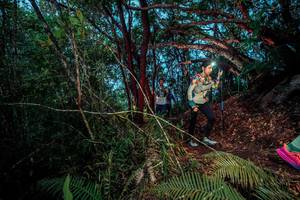 BIB: 
                            <button type="button" onclick="openModal(24787174)" class="btn btn-primary btn-sm float-right btn-popup" data-toggle="modal" data-target=".modal-high-quality">
                        <i class="fas fa-shopping-cart"></i> Add to Cart
                    </button>
                                            <button type="button" onclick="isThisMe(24787174, true)" class="btn btn-success btn-sm float-right btn-popup btn-isme hidden" data-toggle="tooltip" data-placement="bottom" title="นี่คือรูปของคุณใช่ไหม คลิกที่นี่เพื่อเอาเข้าอัลบั้ม">
                        <i class="fas fa-plus"></i> Add to album
                    </button>
                    <button type="button" onclick="isThisMe(24787174, false)" class="btn btn-warning btn-sm float-right btn-popup btn-isnotme hidden">
                        <i class="fas fa-ban"></i> Remove from album
                    </button>