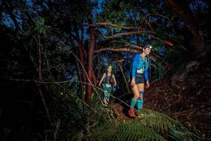 BIB: 
                            <button type="button" onclick="openModal(24789382)" class="btn btn-primary btn-sm float-right btn-popup" data-toggle="modal" data-target=".modal-high-quality">
                        <i class="fas fa-shopping-cart"></i> Add to Cart
                    </button>
                                            <button type="button" onclick="isThisMe(24789382, true)" class="btn btn-success btn-sm float-right btn-popup btn-isme hidden" data-toggle="tooltip" data-placement="bottom" title="นี่คือรูปของคุณใช่ไหม คลิกที่นี่เพื่อเอาเข้าอัลบั้ม">
                        <i class="fas fa-plus"></i> Add to album
                    </button>
                    <button type="button" onclick="isThisMe(24789382, false)" class="btn btn-warning btn-sm float-right btn-popup btn-isnotme hidden">
                        <i class="fas fa-ban"></i> Remove from album
                    </button>