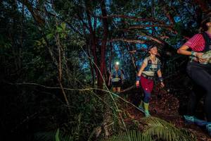 BIB: 
                            <button type="button" onclick="openModal(24782760)" class="btn btn-primary btn-sm float-right btn-popup" data-toggle="modal" data-target=".modal-high-quality">
                        <i class="fas fa-shopping-cart"></i> Add to Cart
                    </button>
                                            <button type="button" onclick="isThisMe(24782760, true)" class="btn btn-success btn-sm float-right btn-popup btn-isme hidden" data-toggle="tooltip" data-placement="bottom" title="นี่คือรูปของคุณใช่ไหม คลิกที่นี่เพื่อเอาเข้าอัลบั้ม">
                        <i class="fas fa-plus"></i> Add to album
                    </button>
                    <button type="button" onclick="isThisMe(24782760, false)" class="btn btn-warning btn-sm float-right btn-popup btn-isnotme hidden">
                        <i class="fas fa-ban"></i> Remove from album
                    </button>