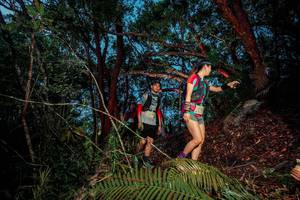 BIB: 
                            <button type="button" onclick="openModal(24782992)" class="btn btn-primary btn-sm float-right btn-popup" data-toggle="modal" data-target=".modal-high-quality">
                        <i class="fas fa-shopping-cart"></i> Add to Cart
                    </button>
                                            <button type="button" onclick="isThisMe(24782992, true)" class="btn btn-success btn-sm float-right btn-popup btn-isme hidden" data-toggle="tooltip" data-placement="bottom" title="นี่คือรูปของคุณใช่ไหม คลิกที่นี่เพื่อเอาเข้าอัลบั้ม">
                        <i class="fas fa-plus"></i> Add to album
                    </button>
                    <button type="button" onclick="isThisMe(24782992, false)" class="btn btn-warning btn-sm float-right btn-popup btn-isnotme hidden">
                        <i class="fas fa-ban"></i> Remove from album
                    </button>