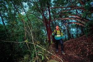 BIB: 
                            <button type="button" onclick="openModal(24789245)" class="btn btn-primary btn-sm float-right btn-popup" data-toggle="modal" data-target=".modal-high-quality">
                        <i class="fas fa-shopping-cart"></i> Add to Cart
                    </button>
                                            <button type="button" onclick="isThisMe(24789245, true)" class="btn btn-success btn-sm float-right btn-popup btn-isme hidden" data-toggle="tooltip" data-placement="bottom" title="นี่คือรูปของคุณใช่ไหม คลิกที่นี่เพื่อเอาเข้าอัลบั้ม">
                        <i class="fas fa-plus"></i> Add to album
                    </button>
                    <button type="button" onclick="isThisMe(24789245, false)" class="btn btn-warning btn-sm float-right btn-popup btn-isnotme hidden">
                        <i class="fas fa-ban"></i> Remove from album
                    </button>