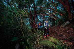 BIB: 
                            <button type="button" onclick="openModal(24786120)" class="btn btn-primary btn-sm float-right btn-popup" data-toggle="modal" data-target=".modal-high-quality">
                        <i class="fas fa-shopping-cart"></i> Add to Cart
                    </button>
                                            <button type="button" onclick="isThisMe(24786120, true)" class="btn btn-success btn-sm float-right btn-popup btn-isme hidden" data-toggle="tooltip" data-placement="bottom" title="นี่คือรูปของคุณใช่ไหม คลิกที่นี่เพื่อเอาเข้าอัลบั้ม">
                        <i class="fas fa-plus"></i> Add to album
                    </button>
                    <button type="button" onclick="isThisMe(24786120, false)" class="btn btn-warning btn-sm float-right btn-popup btn-isnotme hidden">
                        <i class="fas fa-ban"></i> Remove from album
                    </button>