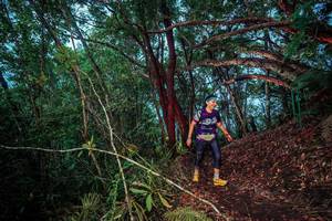 BIB: 
                            <button type="button" onclick="openModal(24789206)" class="btn btn-primary btn-sm float-right btn-popup" data-toggle="modal" data-target=".modal-high-quality">
                        <i class="fas fa-shopping-cart"></i> Add to Cart
                    </button>
                                            <button type="button" onclick="isThisMe(24789206, true)" class="btn btn-success btn-sm float-right btn-popup btn-isme hidden" data-toggle="tooltip" data-placement="bottom" title="นี่คือรูปของคุณใช่ไหม คลิกที่นี่เพื่อเอาเข้าอัลบั้ม">
                        <i class="fas fa-plus"></i> Add to album
                    </button>
                    <button type="button" onclick="isThisMe(24789206, false)" class="btn btn-warning btn-sm float-right btn-popup btn-isnotme hidden">
                        <i class="fas fa-ban"></i> Remove from album
                    </button>