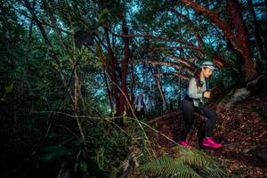 BIB: 
                            <button type="button" onclick="openModal(24786102)" class="btn btn-primary btn-sm float-right btn-popup" data-toggle="modal" data-target=".modal-high-quality">
                        <i class="fas fa-shopping-cart"></i> Add to Cart
                    </button>
                                            <button type="button" onclick="isThisMe(24786102, true)" class="btn btn-success btn-sm float-right btn-popup btn-isme hidden" data-toggle="tooltip" data-placement="bottom" title="นี่คือรูปของคุณใช่ไหม คลิกที่นี่เพื่อเอาเข้าอัลบั้ม">
                        <i class="fas fa-plus"></i> Add to album
                    </button>
                    <button type="button" onclick="isThisMe(24786102, false)" class="btn btn-warning btn-sm float-right btn-popup btn-isnotme hidden">
                        <i class="fas fa-ban"></i> Remove from album
                    </button>