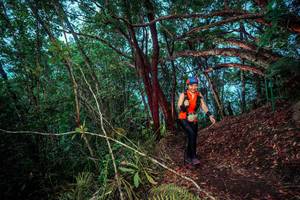 BIB: 
                            <button type="button" onclick="openModal(24789494)" class="btn btn-primary btn-sm float-right btn-popup" data-toggle="modal" data-target=".modal-high-quality">
                        <i class="fas fa-shopping-cart"></i> Add to Cart
                    </button>
                                            <button type="button" onclick="isThisMe(24789494, true)" class="btn btn-success btn-sm float-right btn-popup btn-isme hidden" data-toggle="tooltip" data-placement="bottom" title="นี่คือรูปของคุณใช่ไหม คลิกที่นี่เพื่อเอาเข้าอัลบั้ม">
                        <i class="fas fa-plus"></i> Add to album
                    </button>
                    <button type="button" onclick="isThisMe(24789494, false)" class="btn btn-warning btn-sm float-right btn-popup btn-isnotme hidden">
                        <i class="fas fa-ban"></i> Remove from album
                    </button>