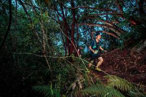 BIB: 
                            <button type="button" onclick="openModal(24786904)" class="btn btn-primary btn-sm float-right btn-popup" data-toggle="modal" data-target=".modal-high-quality">
                        <i class="fas fa-shopping-cart"></i> Add to Cart
                    </button>
                                            <button type="button" onclick="isThisMe(24786904, true)" class="btn btn-success btn-sm float-right btn-popup btn-isme hidden" data-toggle="tooltip" data-placement="bottom" title="นี่คือรูปของคุณใช่ไหม คลิกที่นี่เพื่อเอาเข้าอัลบั้ม">
                        <i class="fas fa-plus"></i> Add to album
                    </button>
                    <button type="button" onclick="isThisMe(24786904, false)" class="btn btn-warning btn-sm float-right btn-popup btn-isnotme hidden">
                        <i class="fas fa-ban"></i> Remove from album
                    </button>