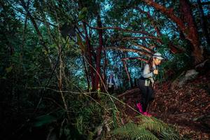 BIB: 
                            <button type="button" onclick="openModal(24786085)" class="btn btn-primary btn-sm float-right btn-popup" data-toggle="modal" data-target=".modal-high-quality">
                        <i class="fas fa-shopping-cart"></i> Add to Cart
                    </button>
                                            <button type="button" onclick="isThisMe(24786085, true)" class="btn btn-success btn-sm float-right btn-popup btn-isme hidden" data-toggle="tooltip" data-placement="bottom" title="นี่คือรูปของคุณใช่ไหม คลิกที่นี่เพื่อเอาเข้าอัลบั้ม">
                        <i class="fas fa-plus"></i> Add to album
                    </button>
                    <button type="button" onclick="isThisMe(24786085, false)" class="btn btn-warning btn-sm float-right btn-popup btn-isnotme hidden">
                        <i class="fas fa-ban"></i> Remove from album
                    </button>