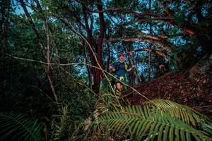 BIB: 
                            <button type="button" onclick="openModal(24785578)" class="btn btn-primary btn-sm float-right btn-popup" data-toggle="modal" data-target=".modal-high-quality">
                        <i class="fas fa-shopping-cart"></i> Add to Cart
                    </button>
                                            <button type="button" onclick="isThisMe(24785578, true)" class="btn btn-success btn-sm float-right btn-popup btn-isme hidden" data-toggle="tooltip" data-placement="bottom" title="นี่คือรูปของคุณใช่ไหม คลิกที่นี่เพื่อเอาเข้าอัลบั้ม">
                        <i class="fas fa-plus"></i> Add to album
                    </button>
                    <button type="button" onclick="isThisMe(24785578, false)" class="btn btn-warning btn-sm float-right btn-popup btn-isnotme hidden">
                        <i class="fas fa-ban"></i> Remove from album
                    </button>