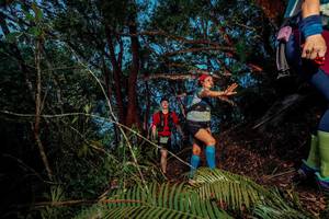 BIB: 
                            <button type="button" onclick="openModal(24782771)" class="btn btn-primary btn-sm float-right btn-popup" data-toggle="modal" data-target=".modal-high-quality">
                        <i class="fas fa-shopping-cart"></i> Add to Cart
                    </button>
                                            <button type="button" onclick="isThisMe(24782771, true)" class="btn btn-success btn-sm float-right btn-popup btn-isme hidden" data-toggle="tooltip" data-placement="bottom" title="นี่คือรูปของคุณใช่ไหม คลิกที่นี่เพื่อเอาเข้าอัลบั้ม">
                        <i class="fas fa-plus"></i> Add to album
                    </button>
                    <button type="button" onclick="isThisMe(24782771, false)" class="btn btn-warning btn-sm float-right btn-popup btn-isnotme hidden">
                        <i class="fas fa-ban"></i> Remove from album
                    </button>