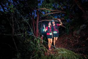 BIB: 
                            <button type="button" onclick="openModal(24787826)" class="btn btn-primary btn-sm float-right btn-popup" data-toggle="modal" data-target=".modal-high-quality">
                        <i class="fas fa-shopping-cart"></i> Add to Cart
                    </button>
                                            <button type="button" onclick="isThisMe(24787826, true)" class="btn btn-success btn-sm float-right btn-popup btn-isme hidden" data-toggle="tooltip" data-placement="bottom" title="นี่คือรูปของคุณใช่ไหม คลิกที่นี่เพื่อเอาเข้าอัลบั้ม">
                        <i class="fas fa-plus"></i> Add to album
                    </button>
                    <button type="button" onclick="isThisMe(24787826, false)" class="btn btn-warning btn-sm float-right btn-popup btn-isnotme hidden">
                        <i class="fas fa-ban"></i> Remove from album
                    </button>