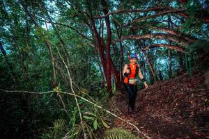 BIB: 
                            <button type="button" onclick="openModal(24789487)" class="btn btn-primary btn-sm float-right btn-popup" data-toggle="modal" data-target=".modal-high-quality">
                        <i class="fas fa-shopping-cart"></i> Add to Cart
                    </button>
                                            <button type="button" onclick="isThisMe(24789487, true)" class="btn btn-success btn-sm float-right btn-popup btn-isme hidden" data-toggle="tooltip" data-placement="bottom" title="นี่คือรูปของคุณใช่ไหม คลิกที่นี่เพื่อเอาเข้าอัลบั้ม">
                        <i class="fas fa-plus"></i> Add to album
                    </button>
                    <button type="button" onclick="isThisMe(24789487, false)" class="btn btn-warning btn-sm float-right btn-popup btn-isnotme hidden">
                        <i class="fas fa-ban"></i> Remove from album
                    </button>