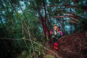 BIB: 
                            <button type="button" onclick="openModal(24789305)" class="btn btn-primary btn-sm float-right btn-popup" data-toggle="modal" data-target=".modal-high-quality">
                        <i class="fas fa-shopping-cart"></i> Add to Cart
                    </button>
                                            <button type="button" onclick="isThisMe(24789305, true)" class="btn btn-success btn-sm float-right btn-popup btn-isme hidden" data-toggle="tooltip" data-placement="bottom" title="นี่คือรูปของคุณใช่ไหม คลิกที่นี่เพื่อเอาเข้าอัลบั้ม">
                        <i class="fas fa-plus"></i> Add to album
                    </button>
                    <button type="button" onclick="isThisMe(24789305, false)" class="btn btn-warning btn-sm float-right btn-popup btn-isnotme hidden">
                        <i class="fas fa-ban"></i> Remove from album
                    </button>