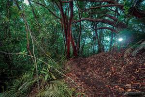 BIB: 
                            <button type="button" onclick="openModal(24781808)" class="btn btn-primary btn-sm float-right btn-popup" data-toggle="modal" data-target=".modal-high-quality">
                        <i class="fas fa-shopping-cart"></i> Add to Cart
                    </button>
                                            <button type="button" onclick="isThisMe(24781808, true)" class="btn btn-success btn-sm float-right btn-popup btn-isme hidden" data-toggle="tooltip" data-placement="bottom" title="นี่คือรูปของคุณใช่ไหม คลิกที่นี่เพื่อเอาเข้าอัลบั้ม">
                        <i class="fas fa-plus"></i> Add to album
                    </button>
                    <button type="button" onclick="isThisMe(24781808, false)" class="btn btn-warning btn-sm float-right btn-popup btn-isnotme hidden">
                        <i class="fas fa-ban"></i> Remove from album
                    </button>